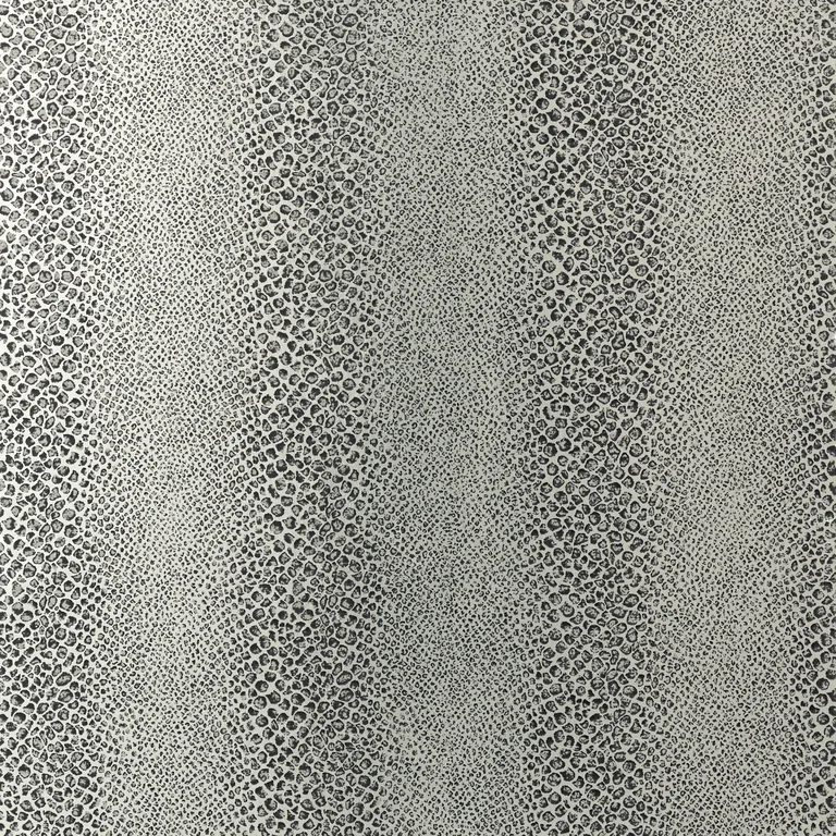 Anna French Mamba in Black on Mylar (AT7922)