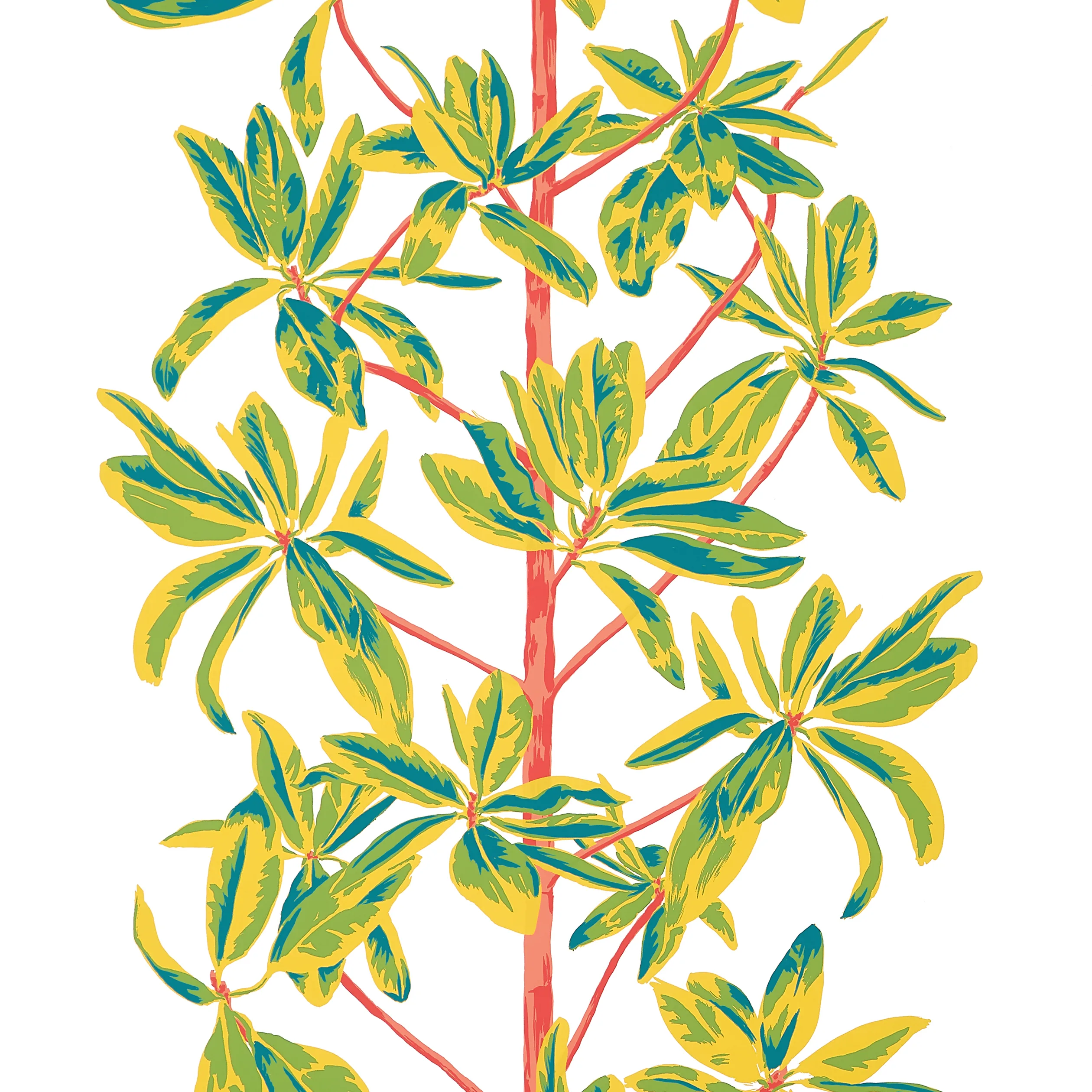 T45036 | Mangrove Tree – Coral