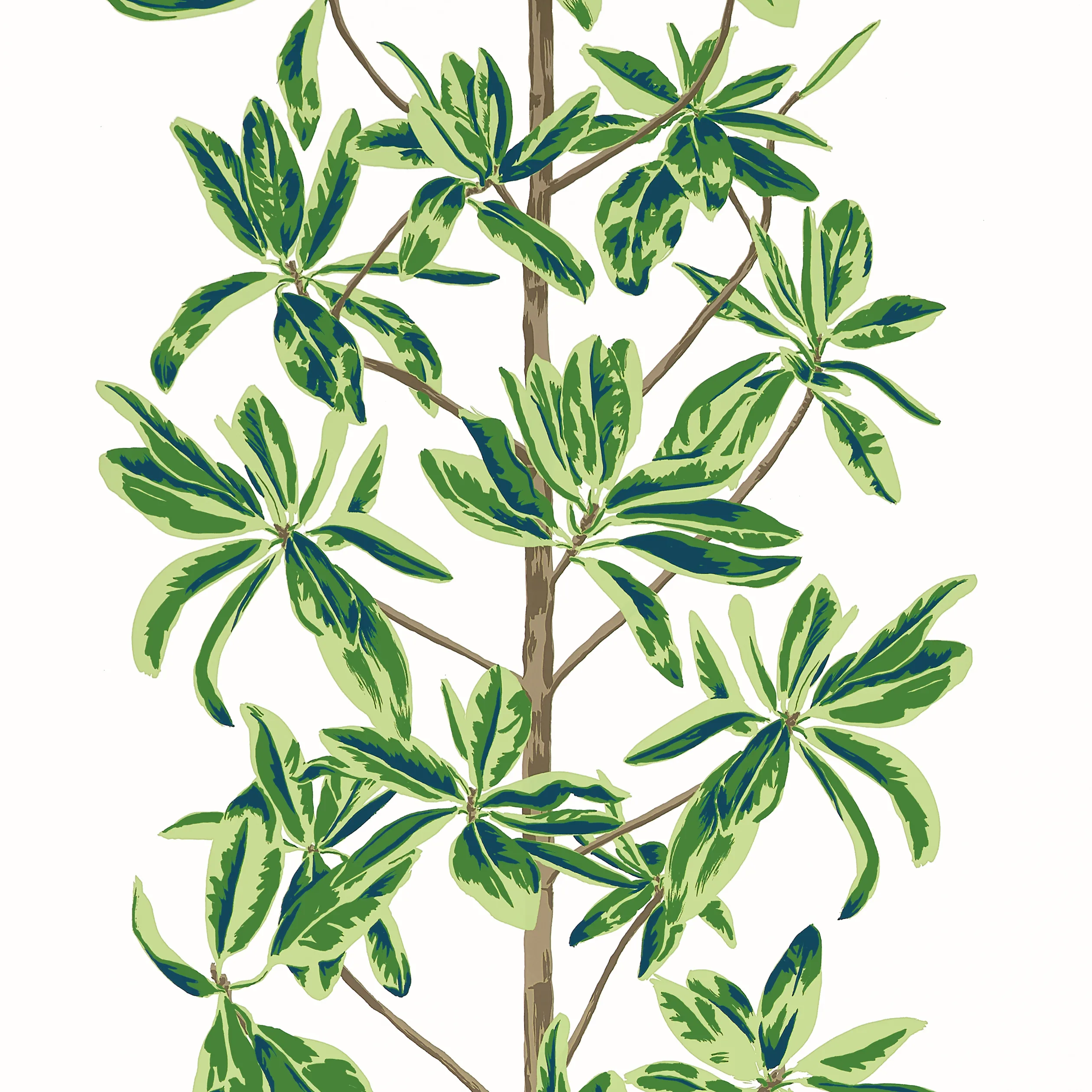 T45035 | Mangrove Tree – Green and White