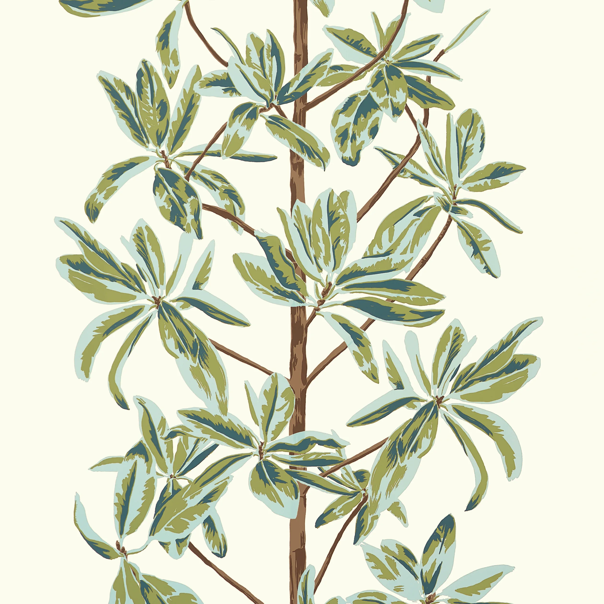 T45034 | Mangrove Tree – Sage