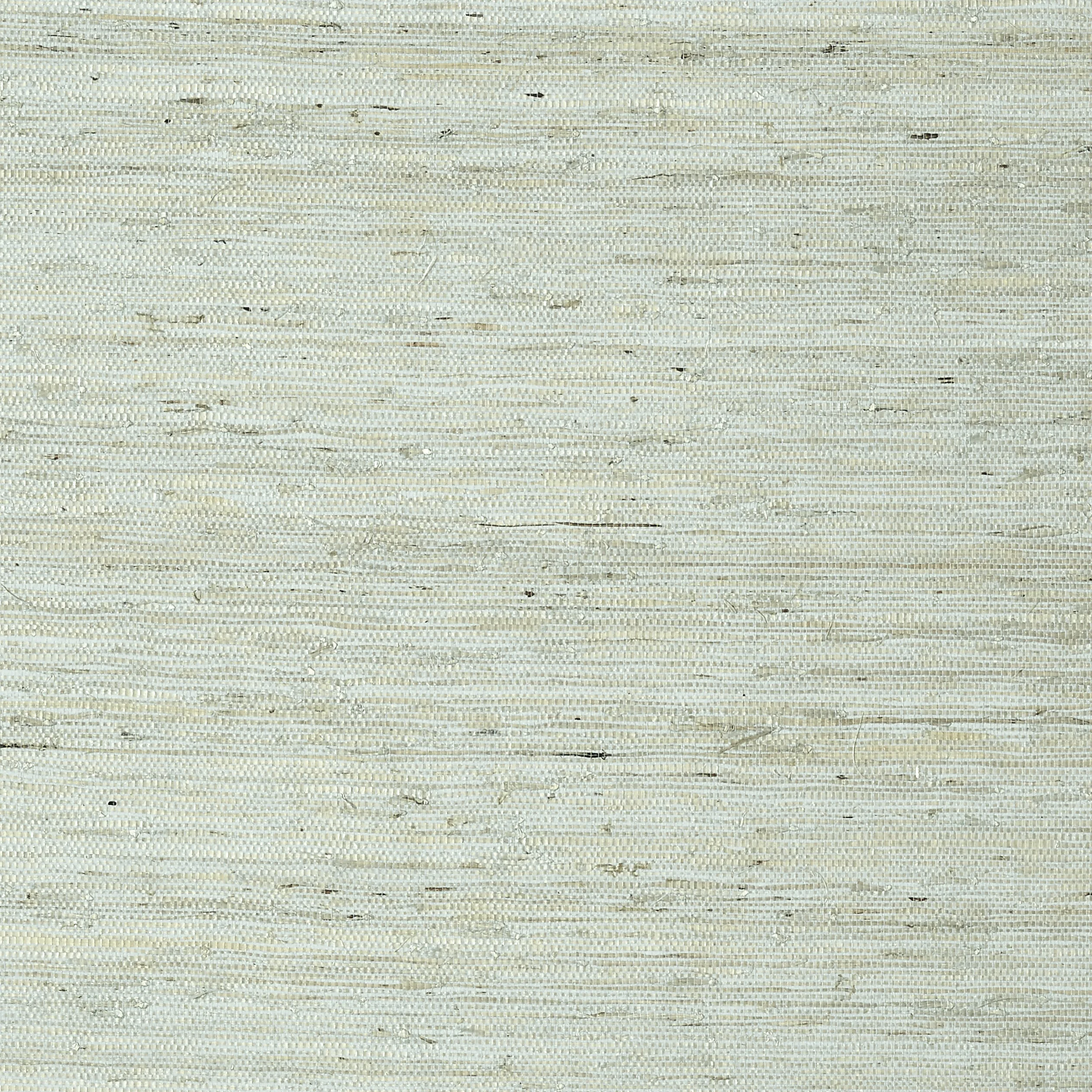 T85003 | Maranta Arrowroot – Aqua