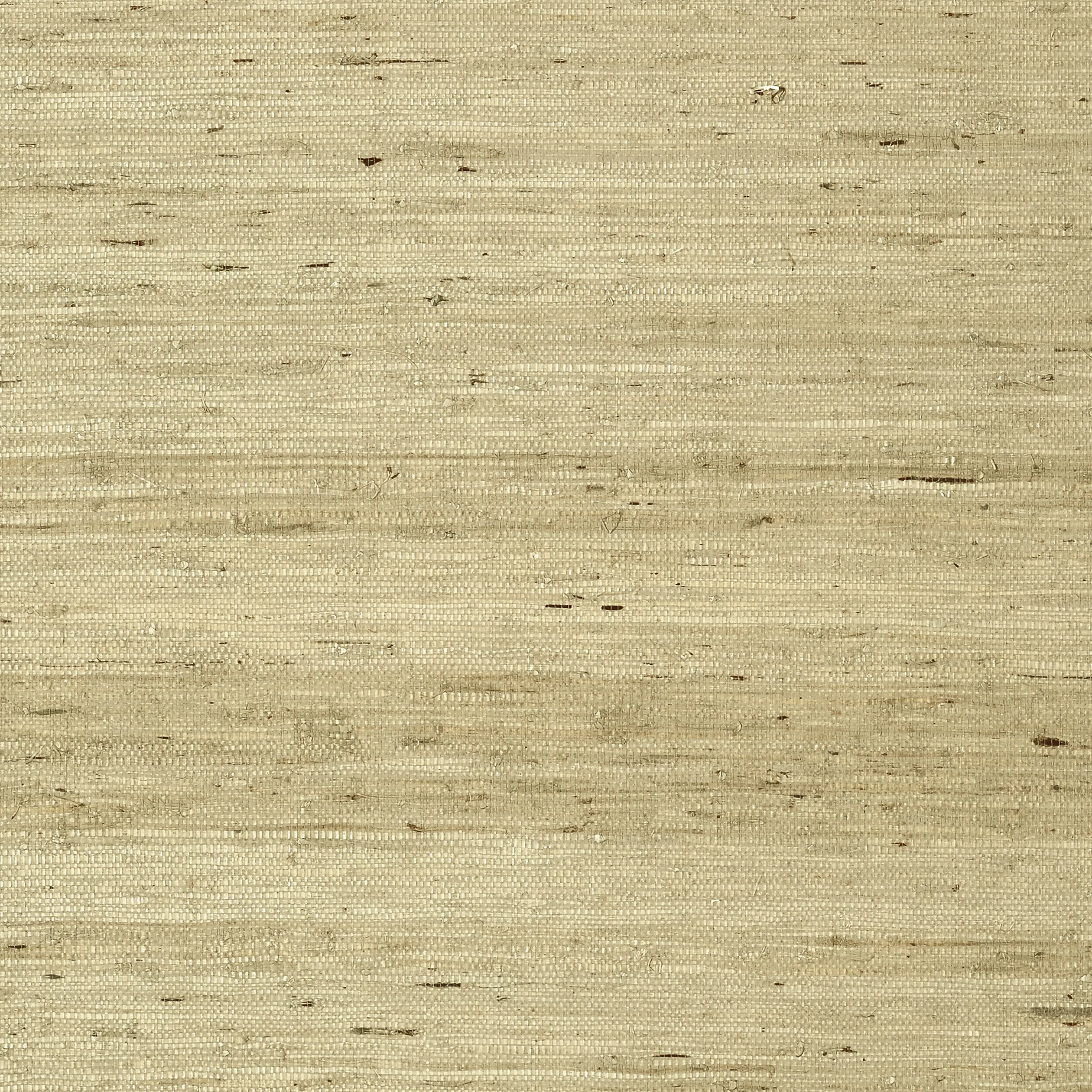 T85006 | Maranta Arrowroot – Beige