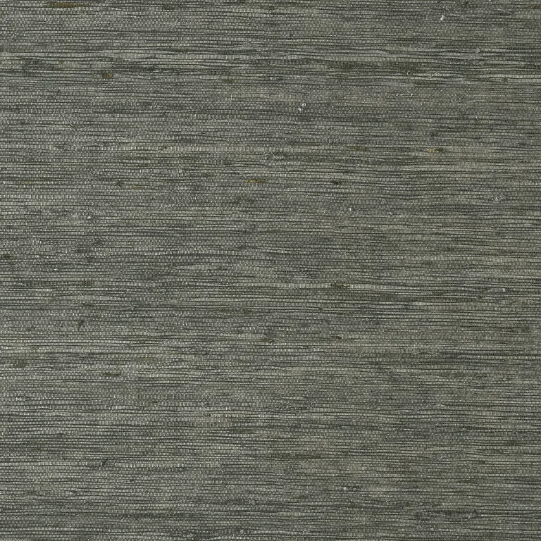 Thibaut Maranta Arrowroot in Black (T85009)