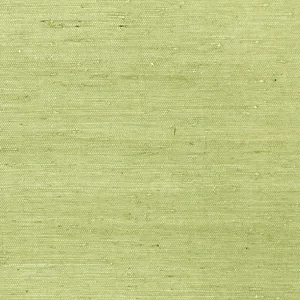 Thibaut Maranta Arrowroot in Green (T85012)