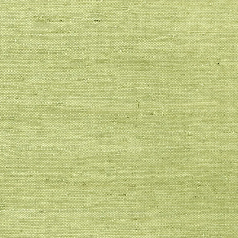 Thibaut Maranta Arrowroot in Green (T85012)