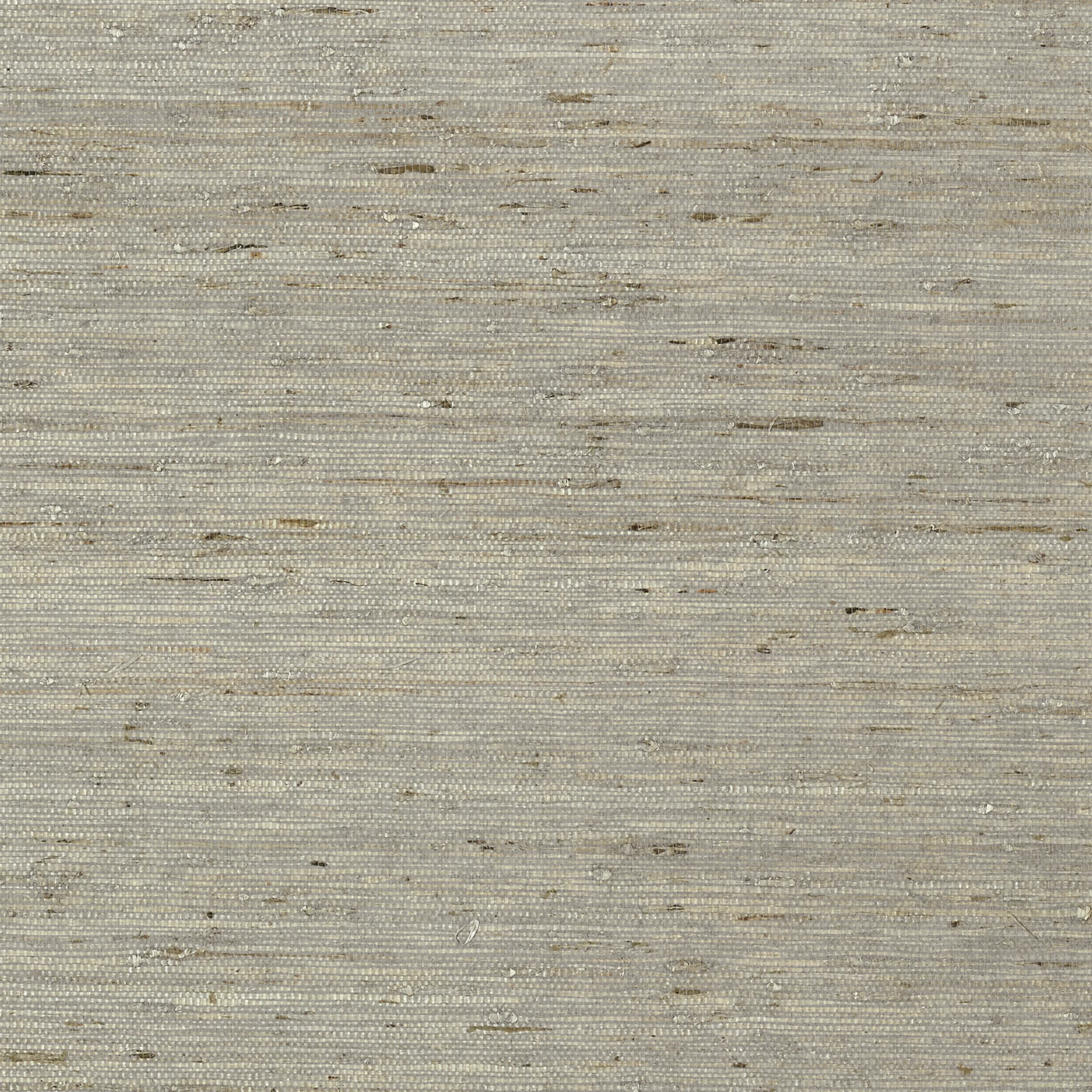 T85005 | Maranta Arrowroot – Grey