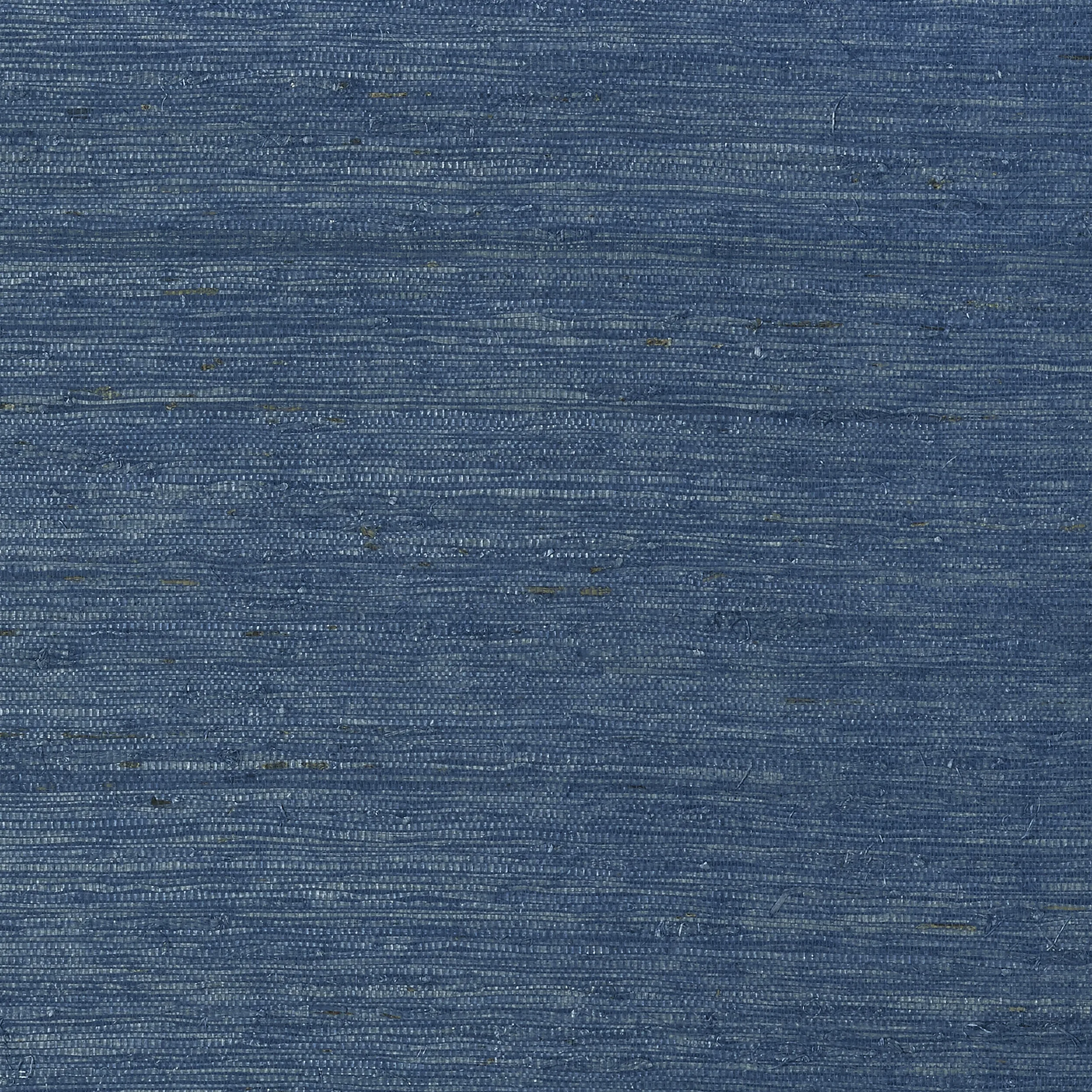 T85010 | Maranta Arrowroot – Navy