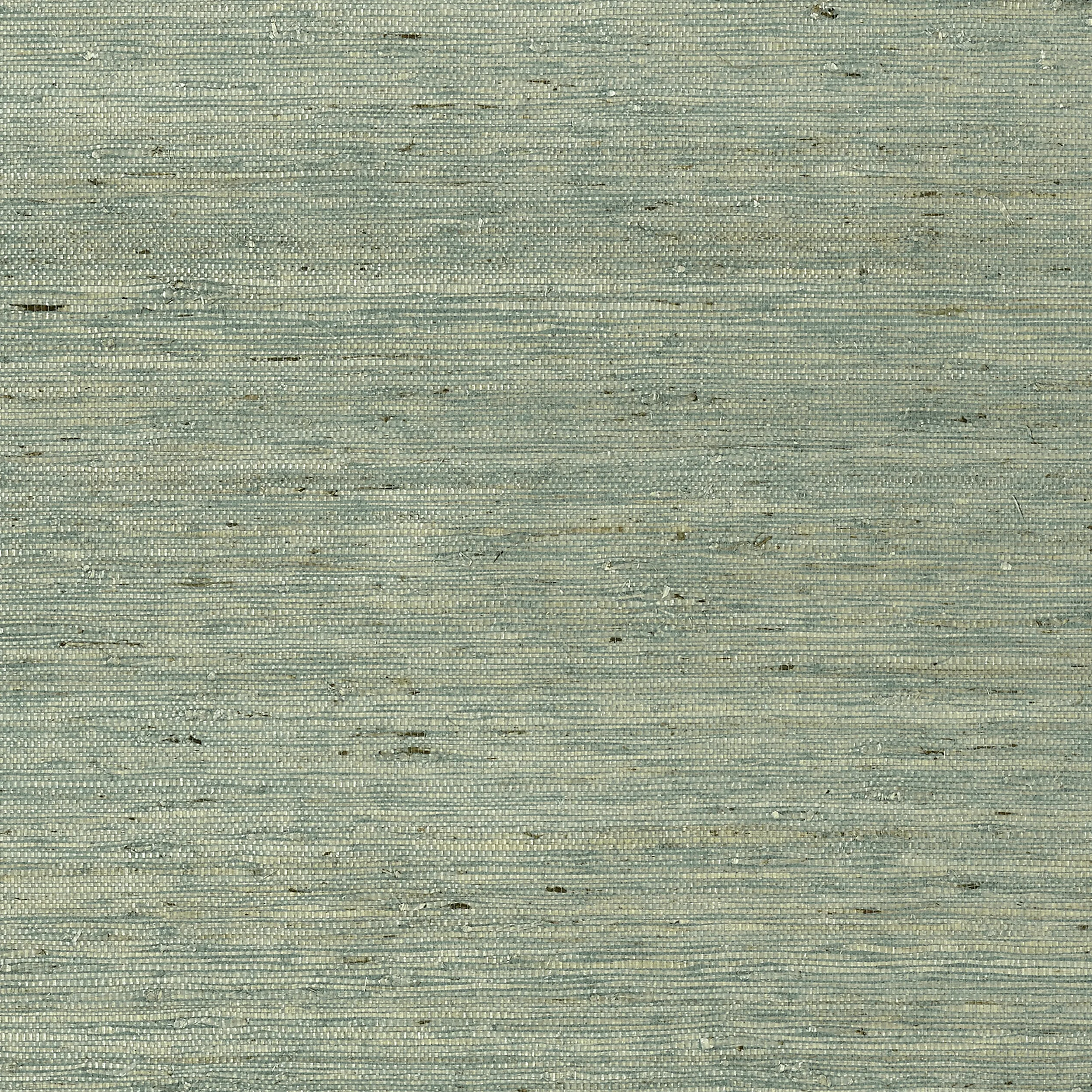 T85004 | Maranta Arrowroot – Teal