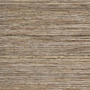 Thibaut Maroma in Bark (T10308)