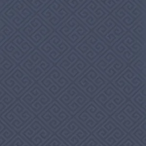 Thibaut Maze in Navy (T36161)