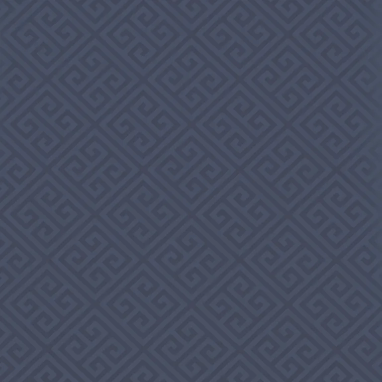 Thibaut Maze in Navy (T36161)