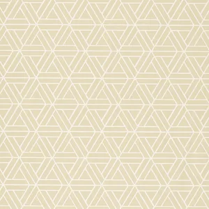 Thibaut Medina in Beige (T1879)