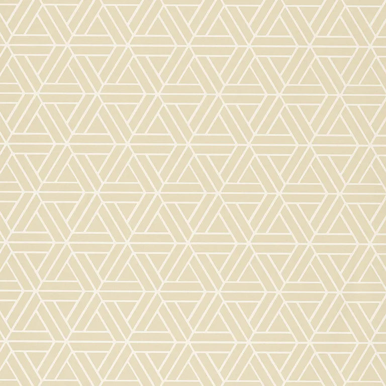 Thibaut Medina in Beige (T1879)