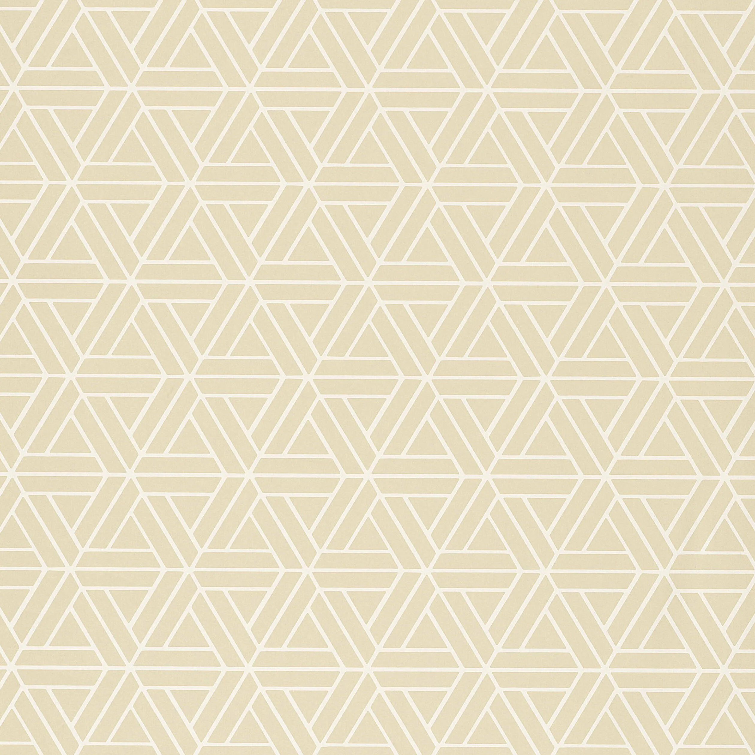 Thibaut Medina in Beige (T1879)