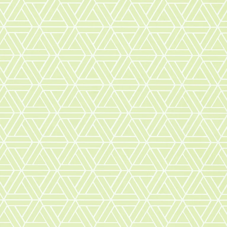 Thibaut Medina in Green (T1881)