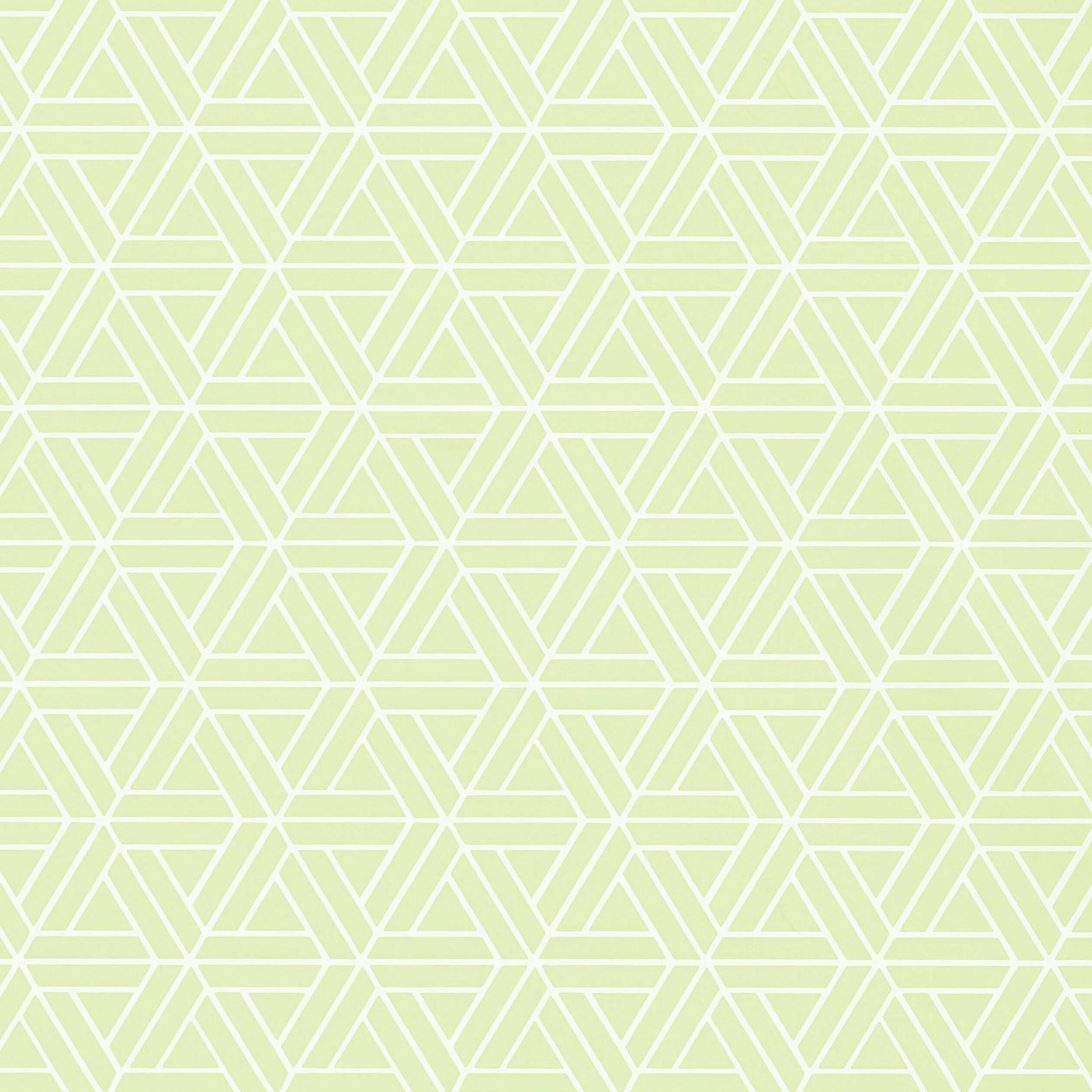 T1881 | Medina – Green