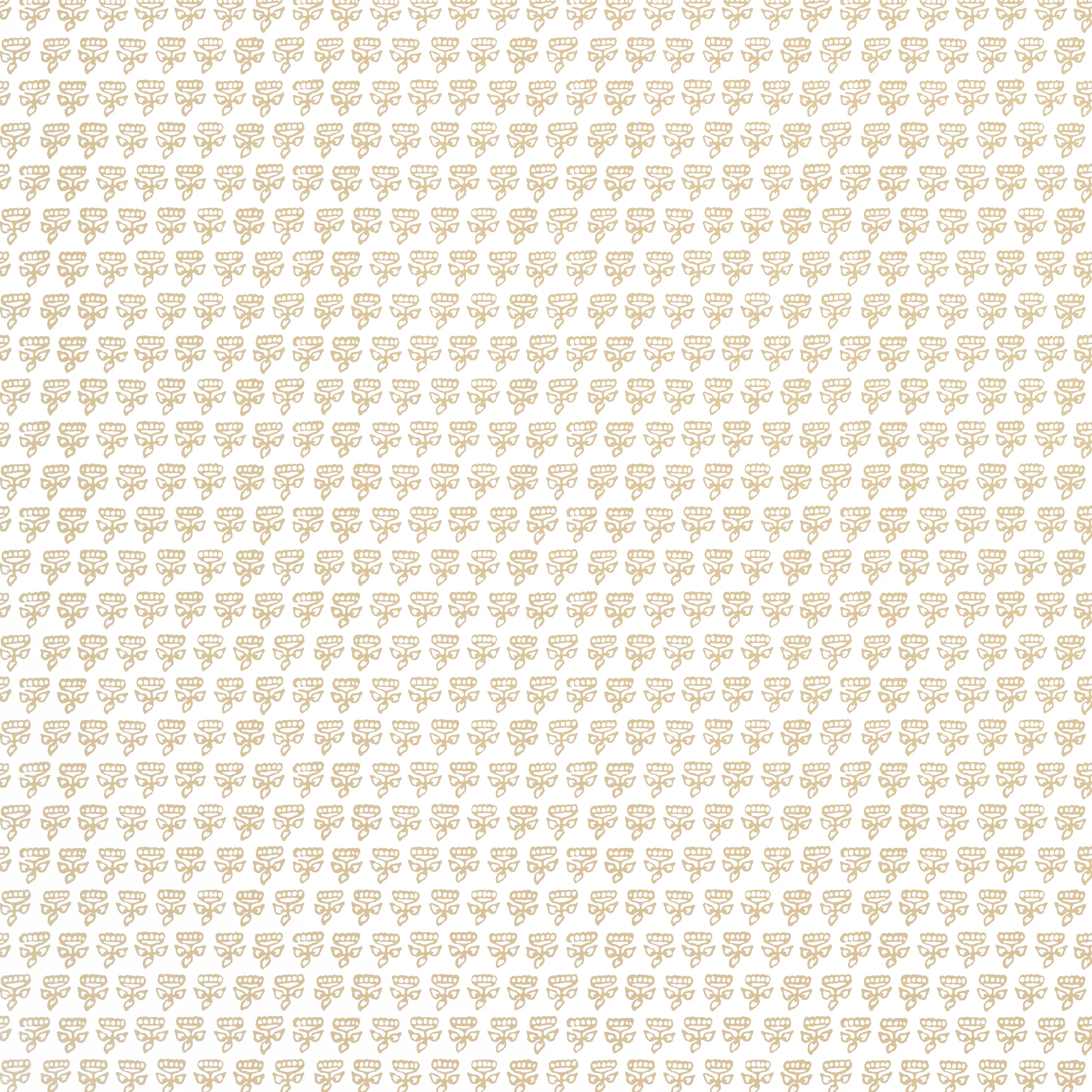 Thibaut Mimi in Beige (T36446)