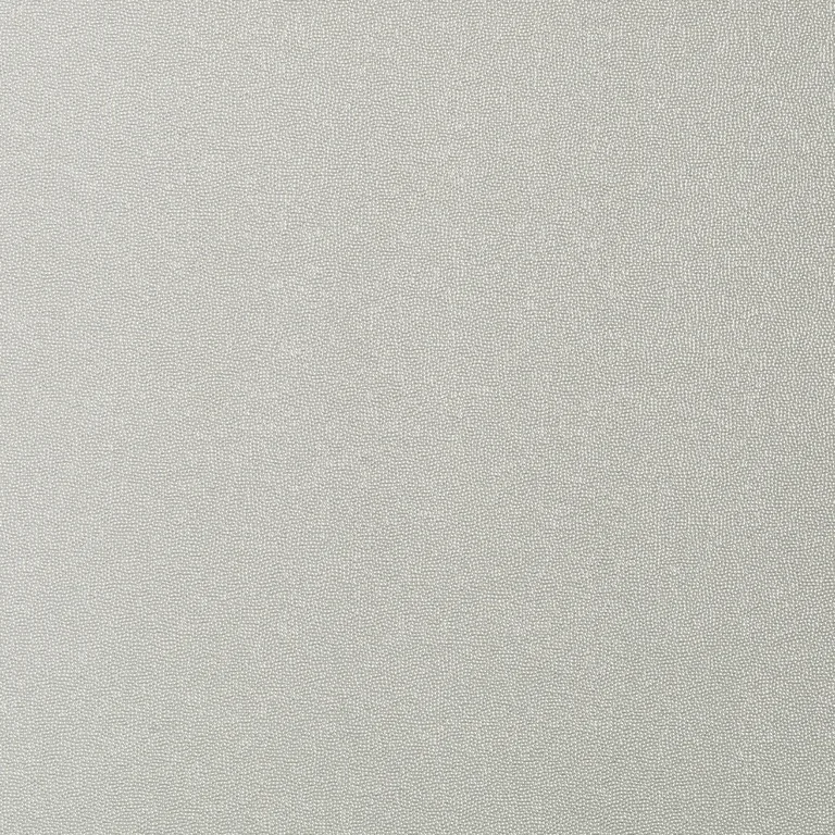 Thibaut Minerals in Silver (T14149)
