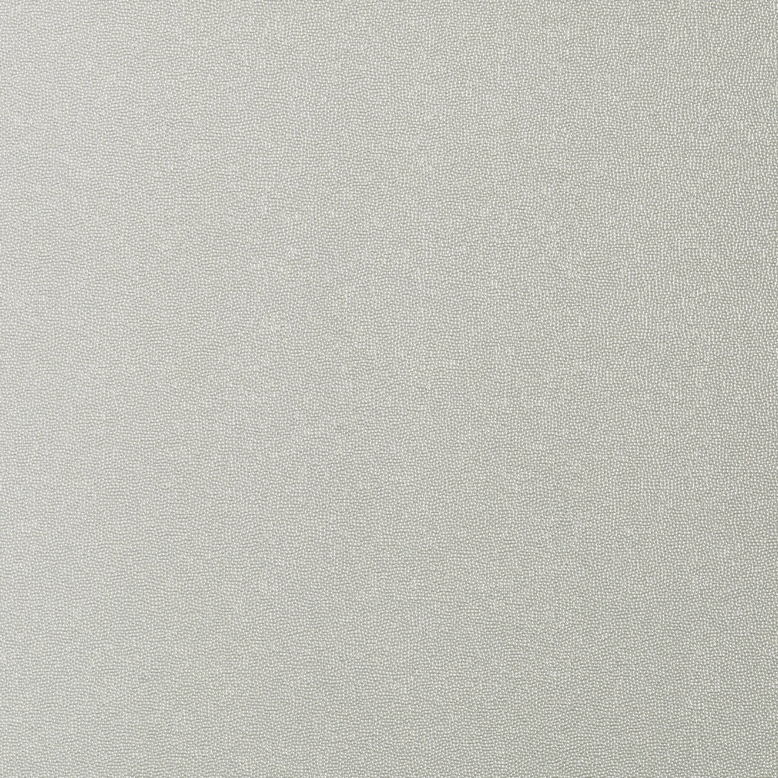 Thibaut Minerals in Silver (T14149)