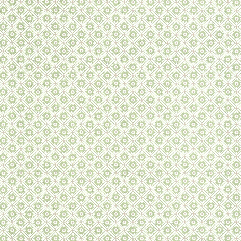 Anna French Mini Sun in Green (AT24568)