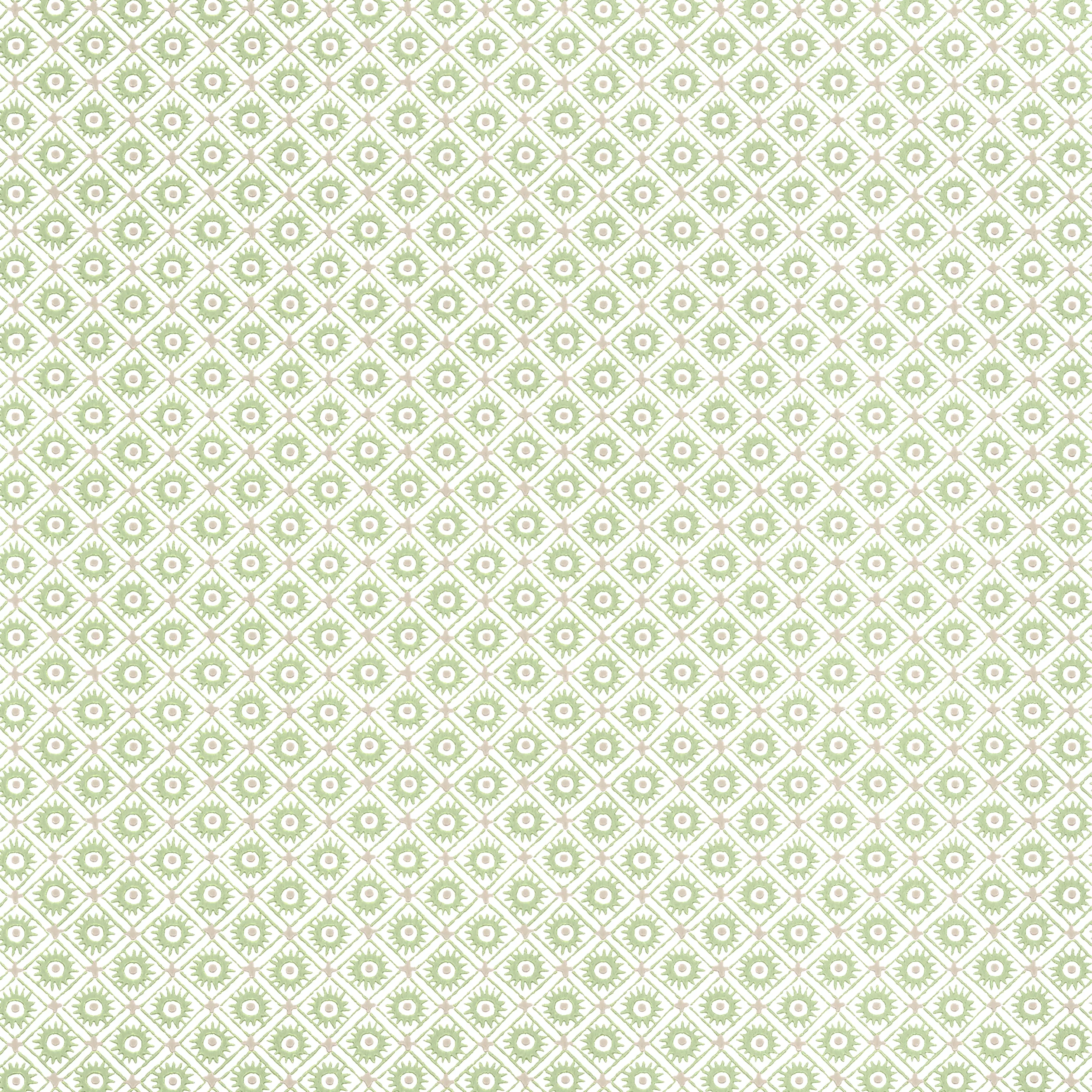 Anna French Mini Sun in Green (AT24568)
