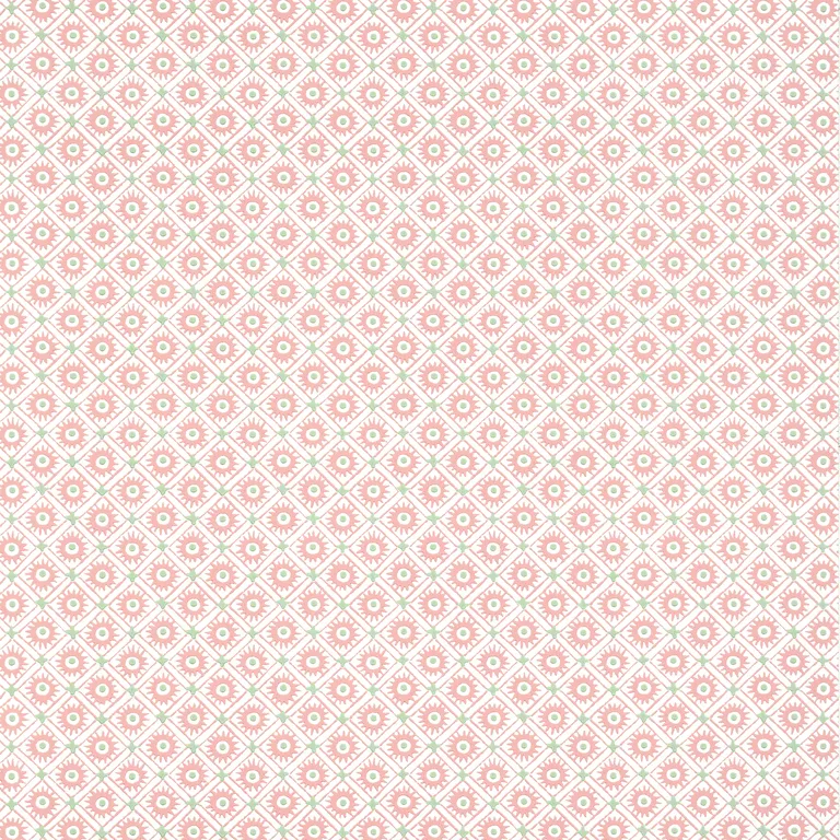 Anna French Mini Sun in Rose (AT24570)