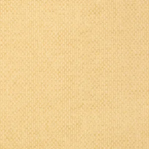 Thibaut Monaco in Straw (T14171)