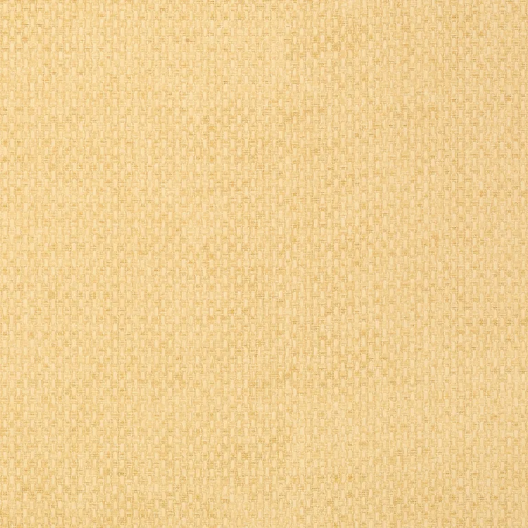 Thibaut Monaco in Straw (T14171)