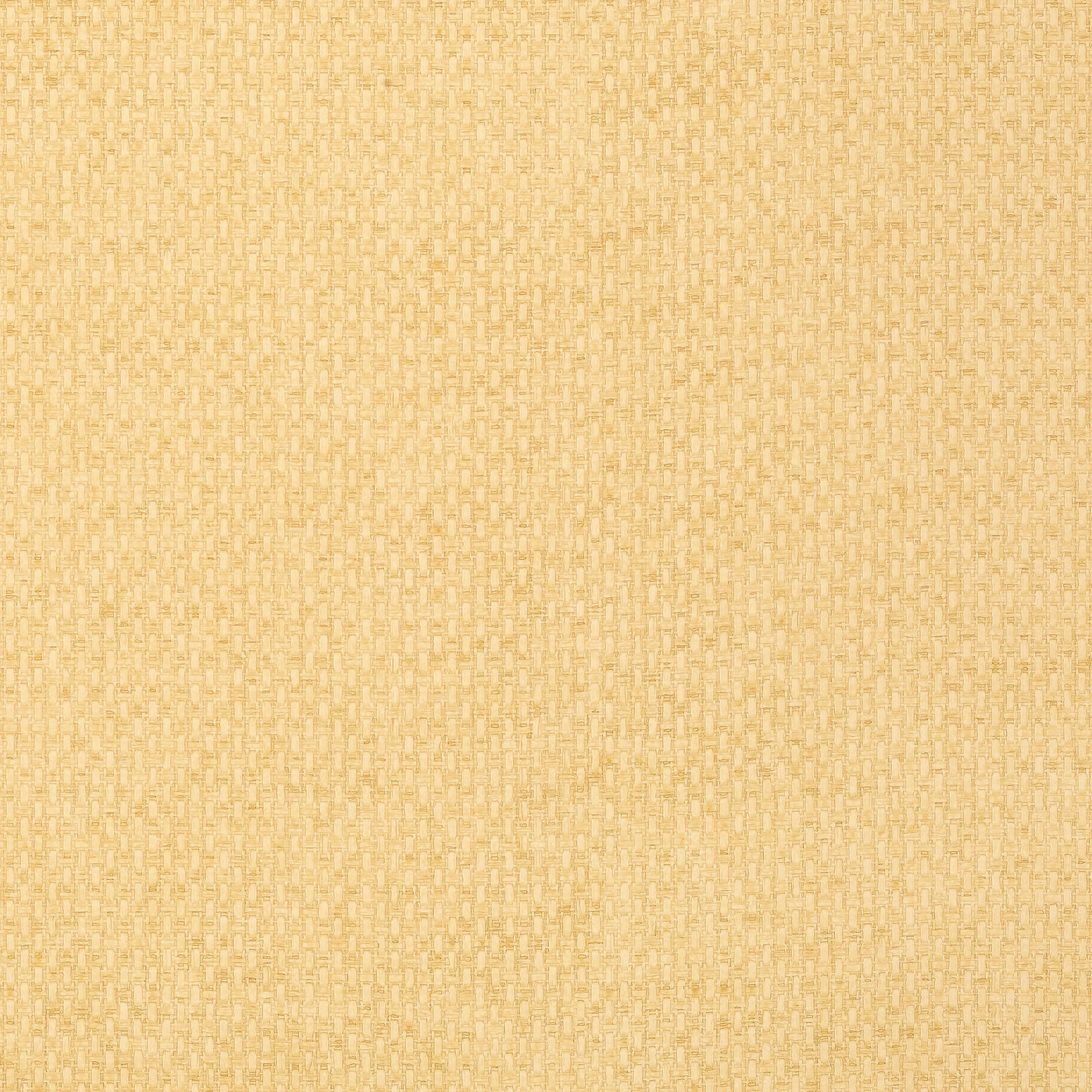 Thibaut Monaco in Straw (T14171)