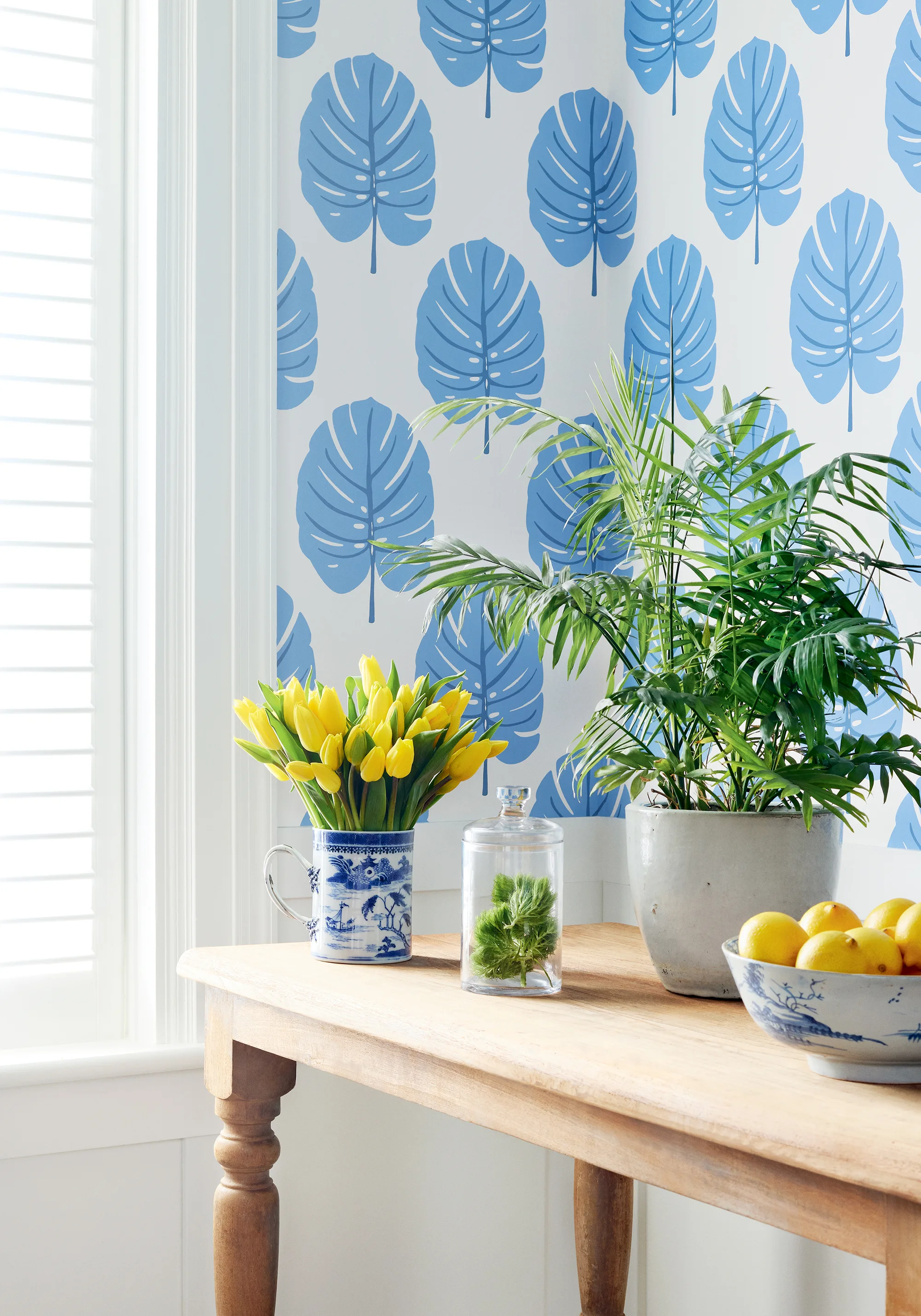 Thibaut Monstera in Blue (T13953)