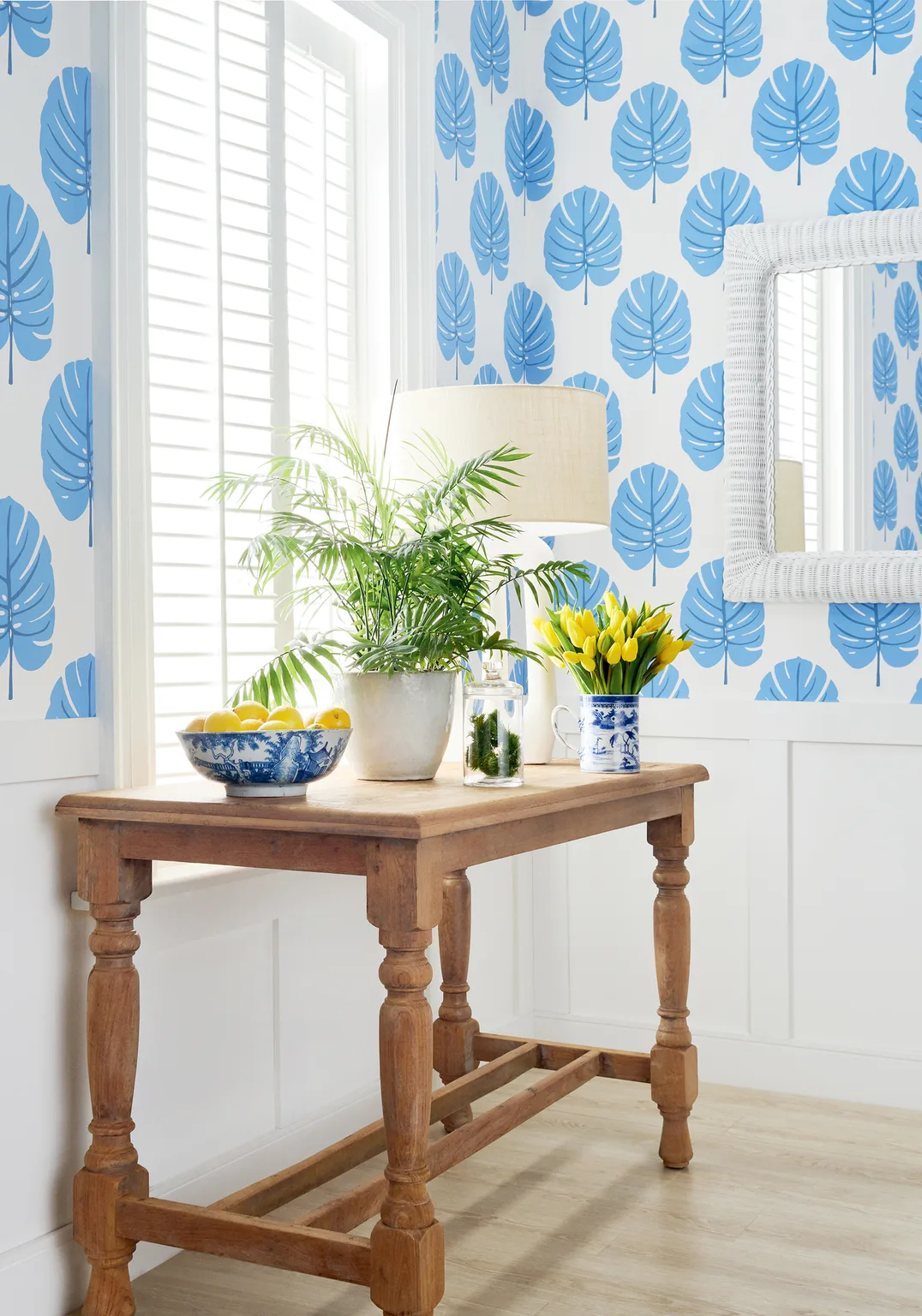 Thibaut Monstera in Blue (T13953)