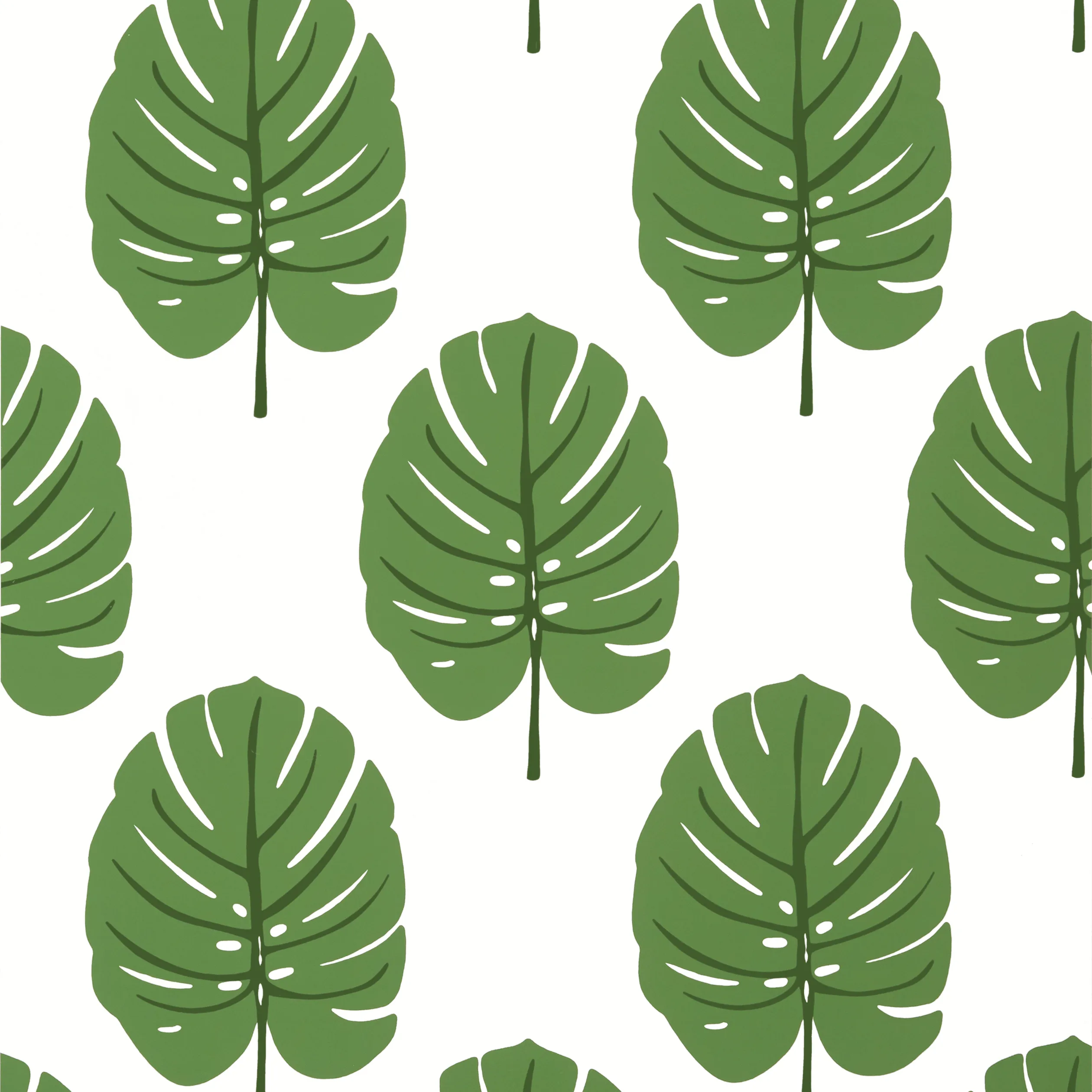 Thibaut Monstera in Green (T13952)
