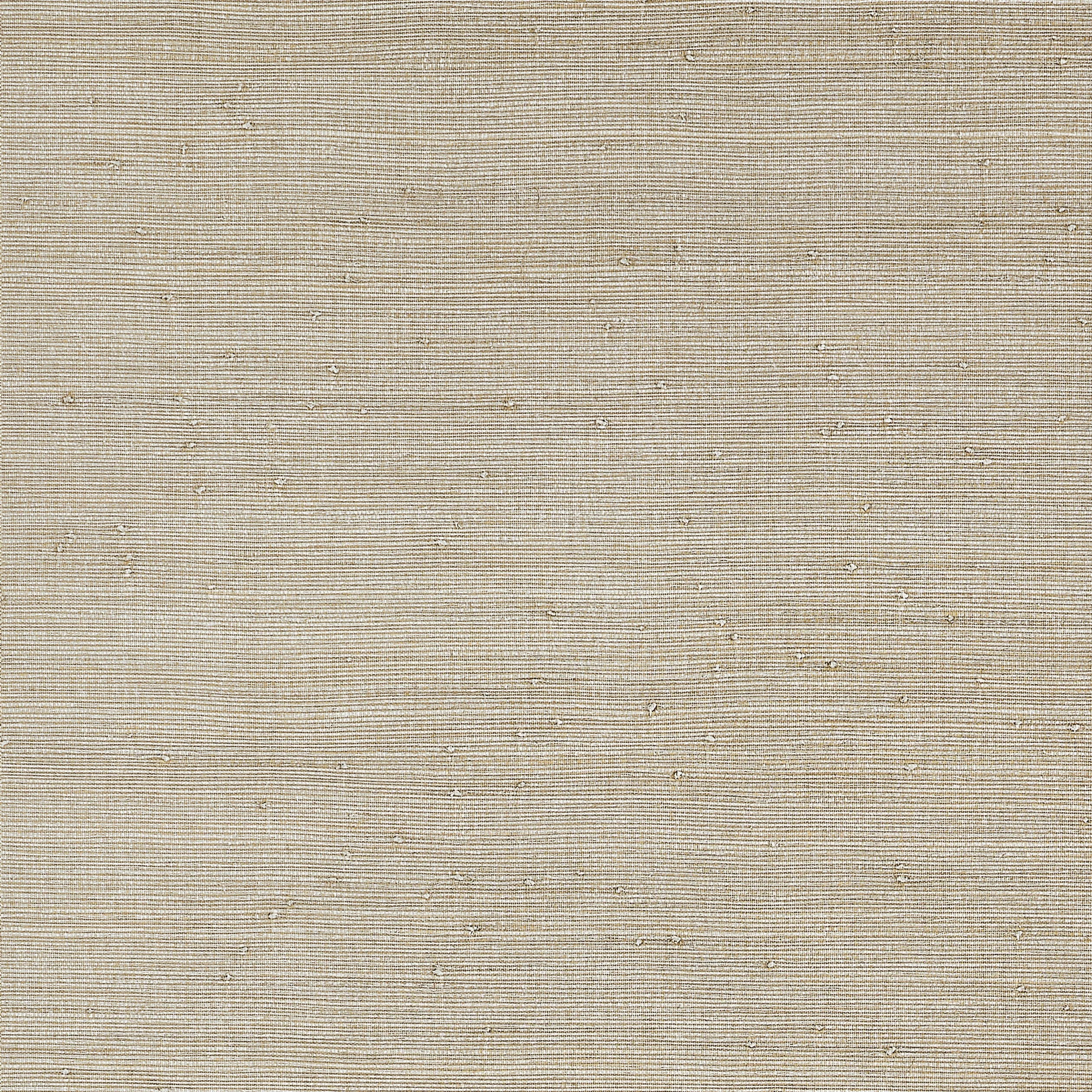 T10324 | Montgomery Weave – Flax