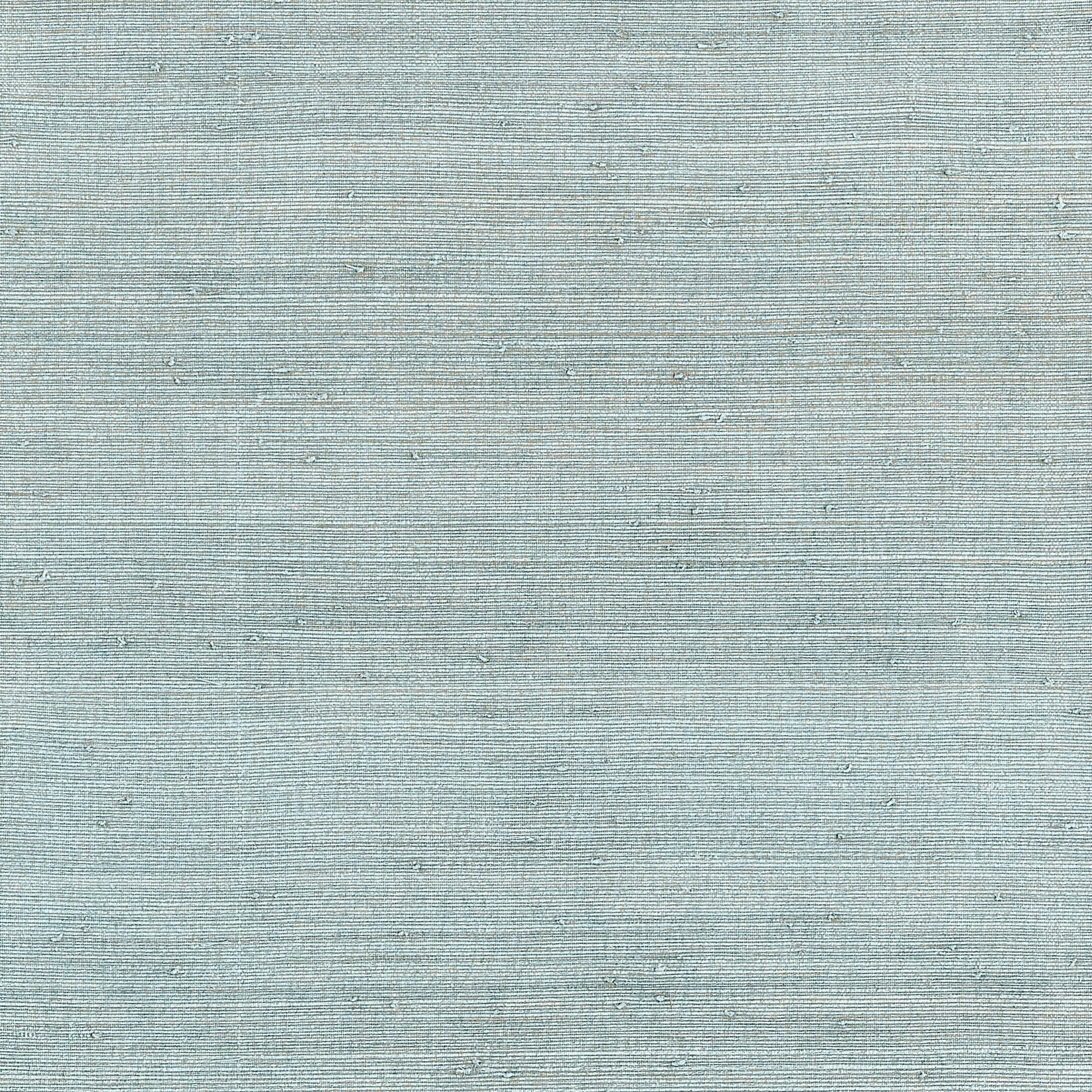 T10326 | Montgomery Weave – Spa Blue