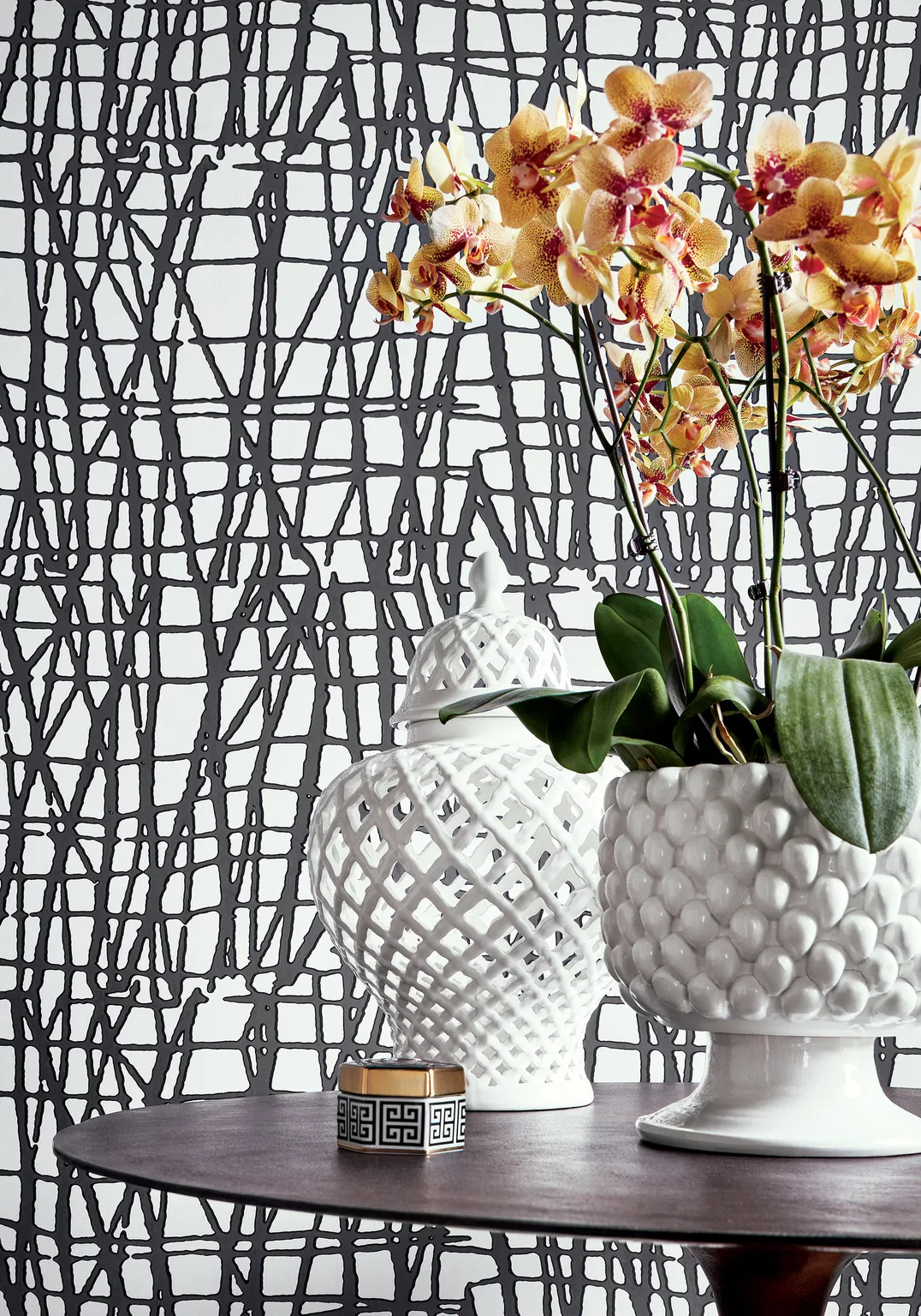 Thibaut Mori in Black (T456)