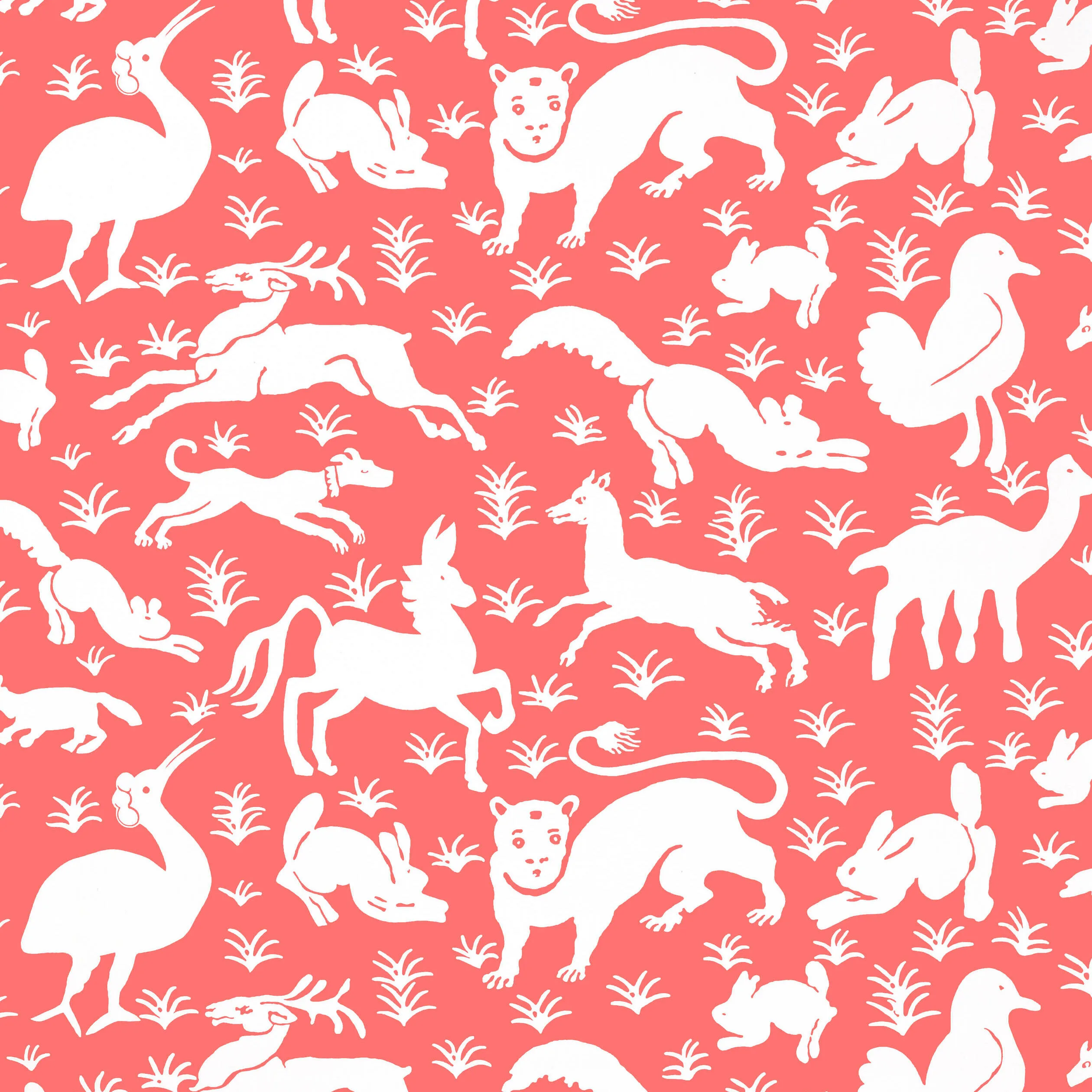 Thibaut Nairobi in Pink (T13069)