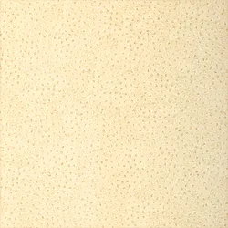 Thibaut Natural Ostrich in Cream (T6830)