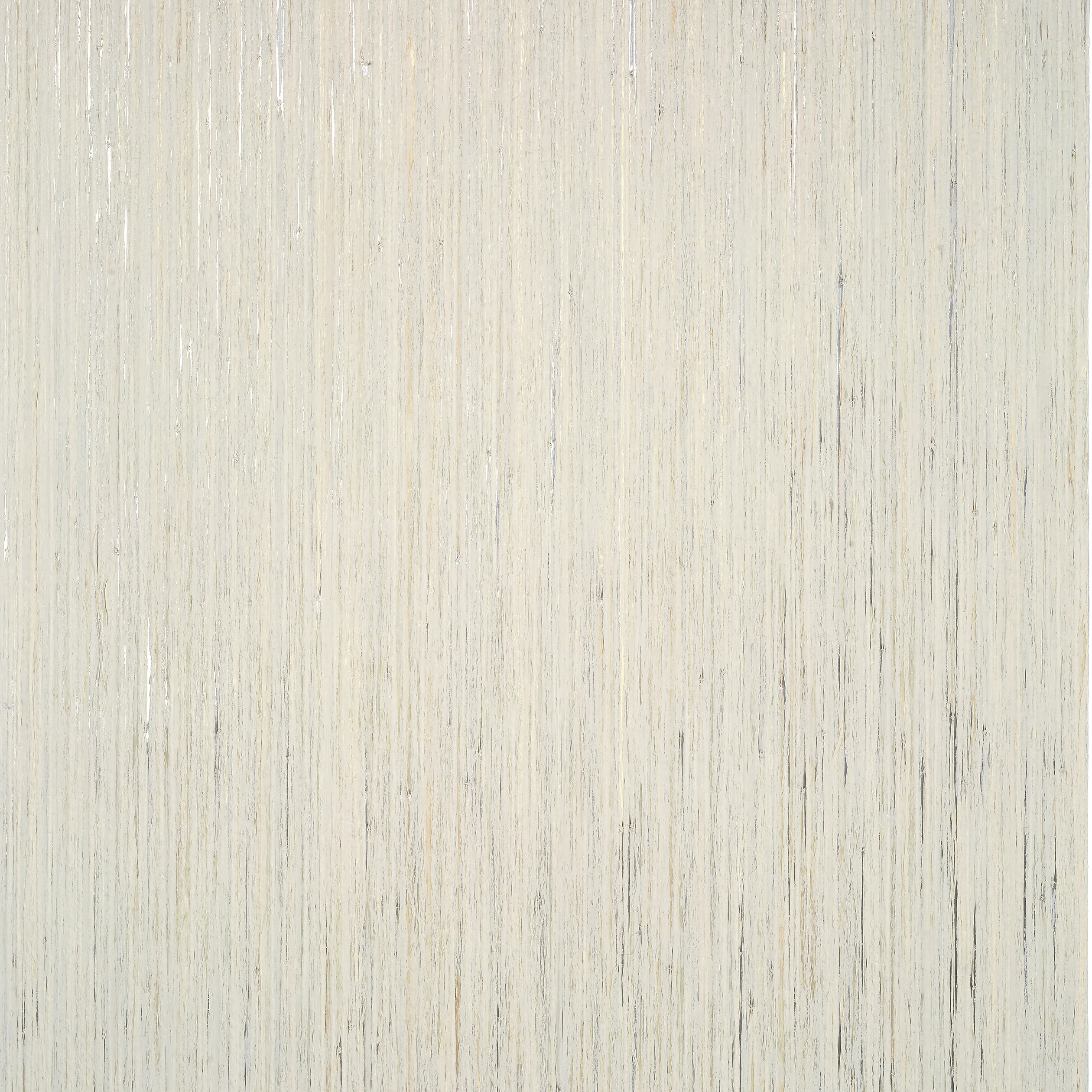 T3988 | Nira – Neutral