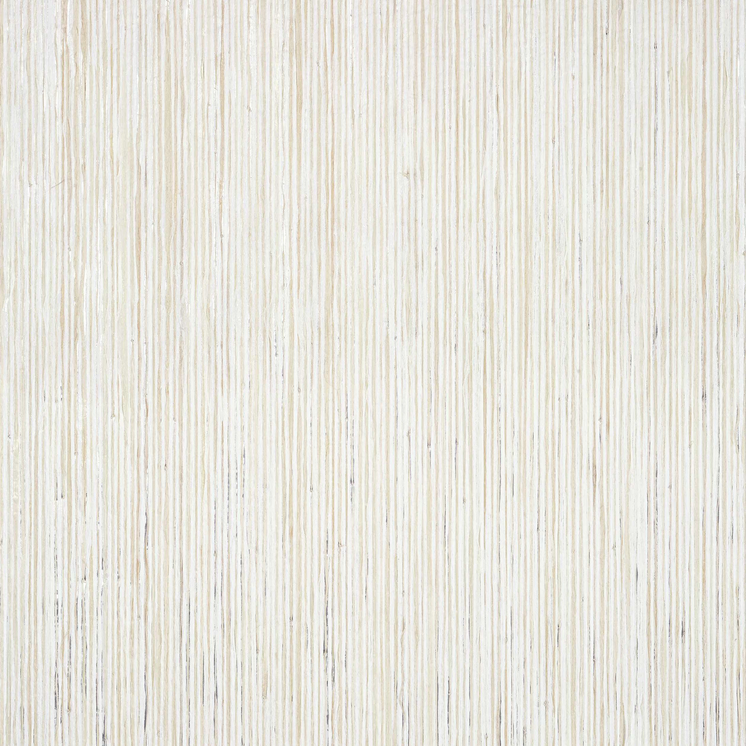 Thibaut Nira in White (T3987)