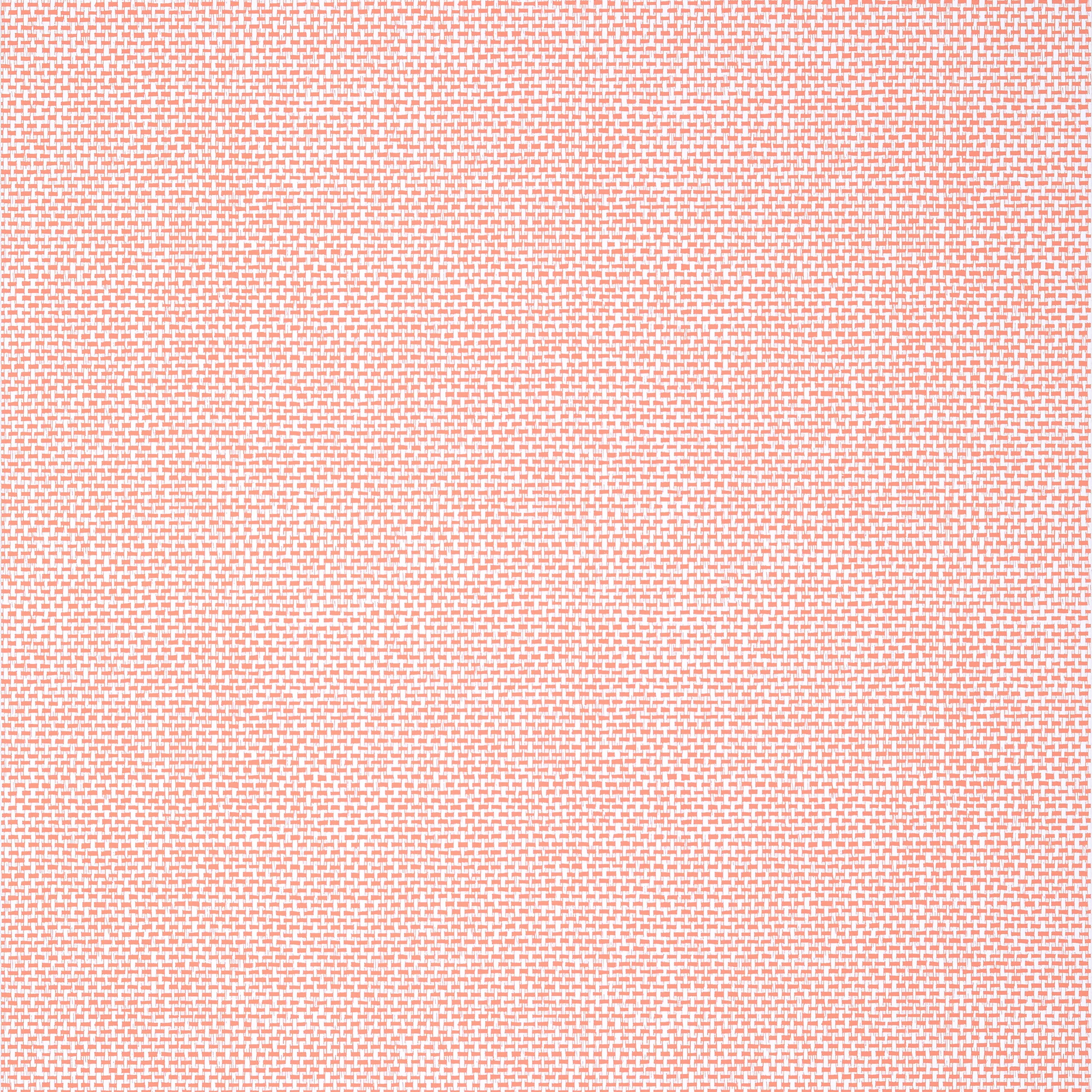 T16263 | Palawan – Coral