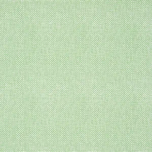 Thibaut Palawan in Green (T16261)