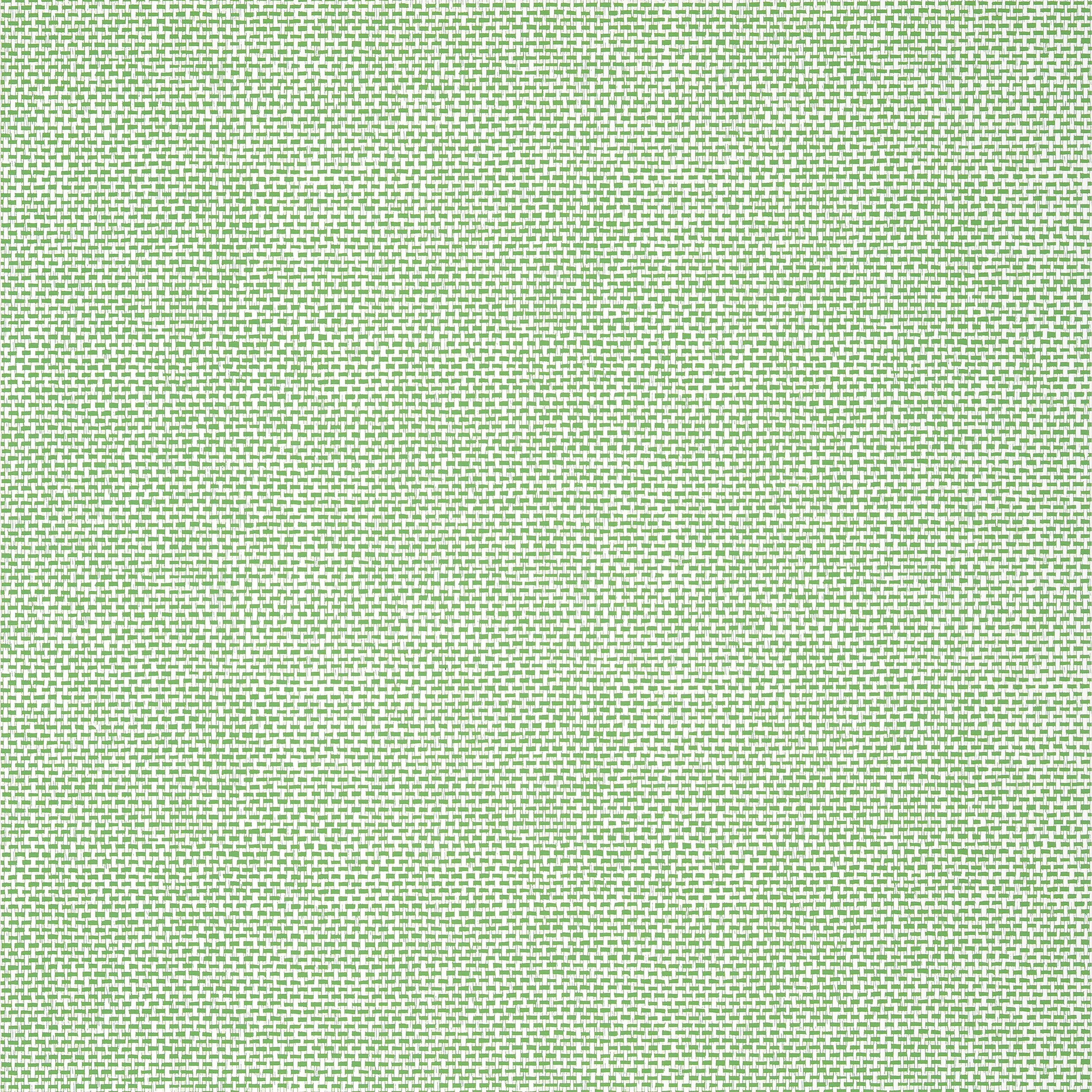 T16261 | Palawan – Green