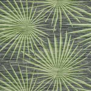 Thibaut Palm Frond in Black and Green (T10143)