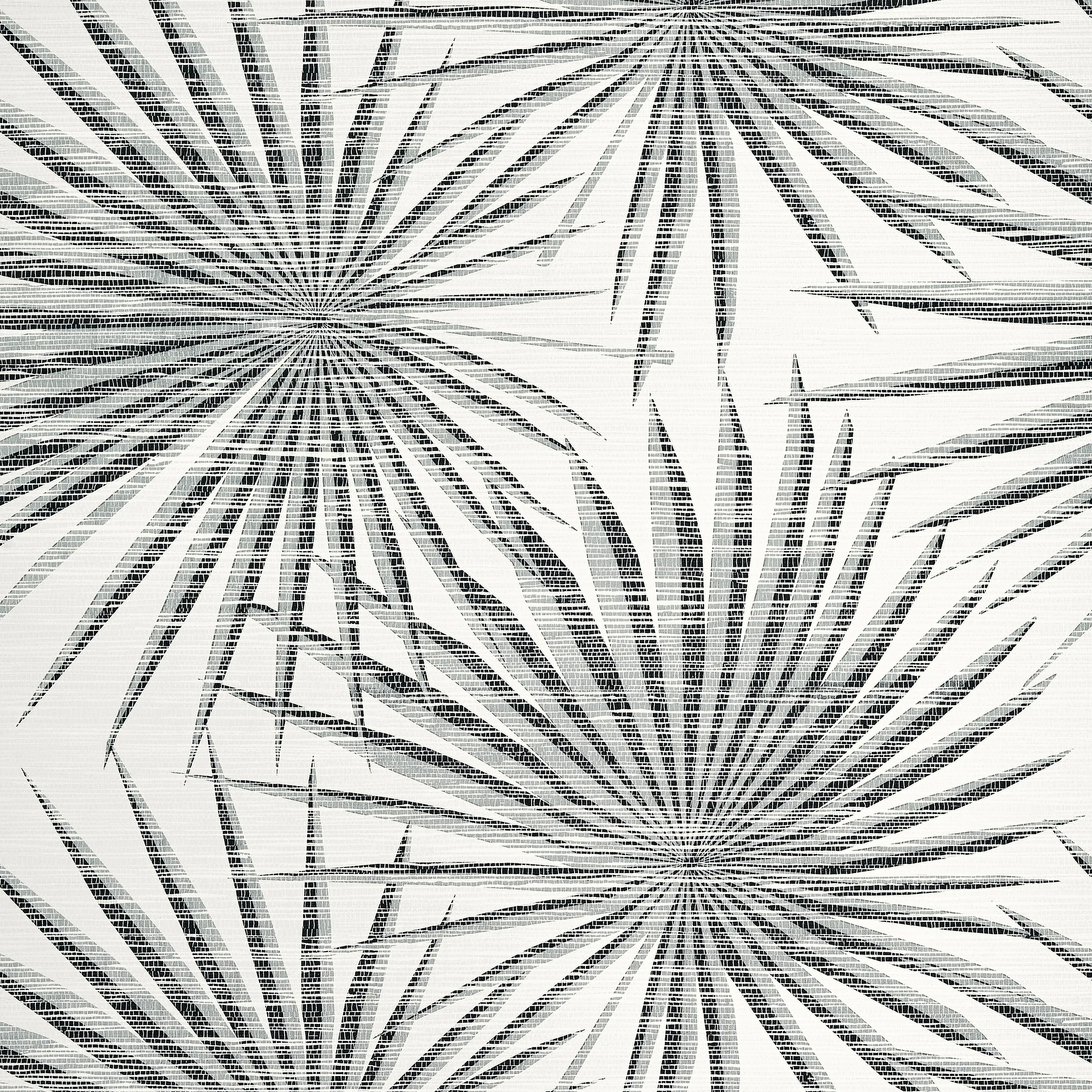T10145 | Palm Frond – Black and White