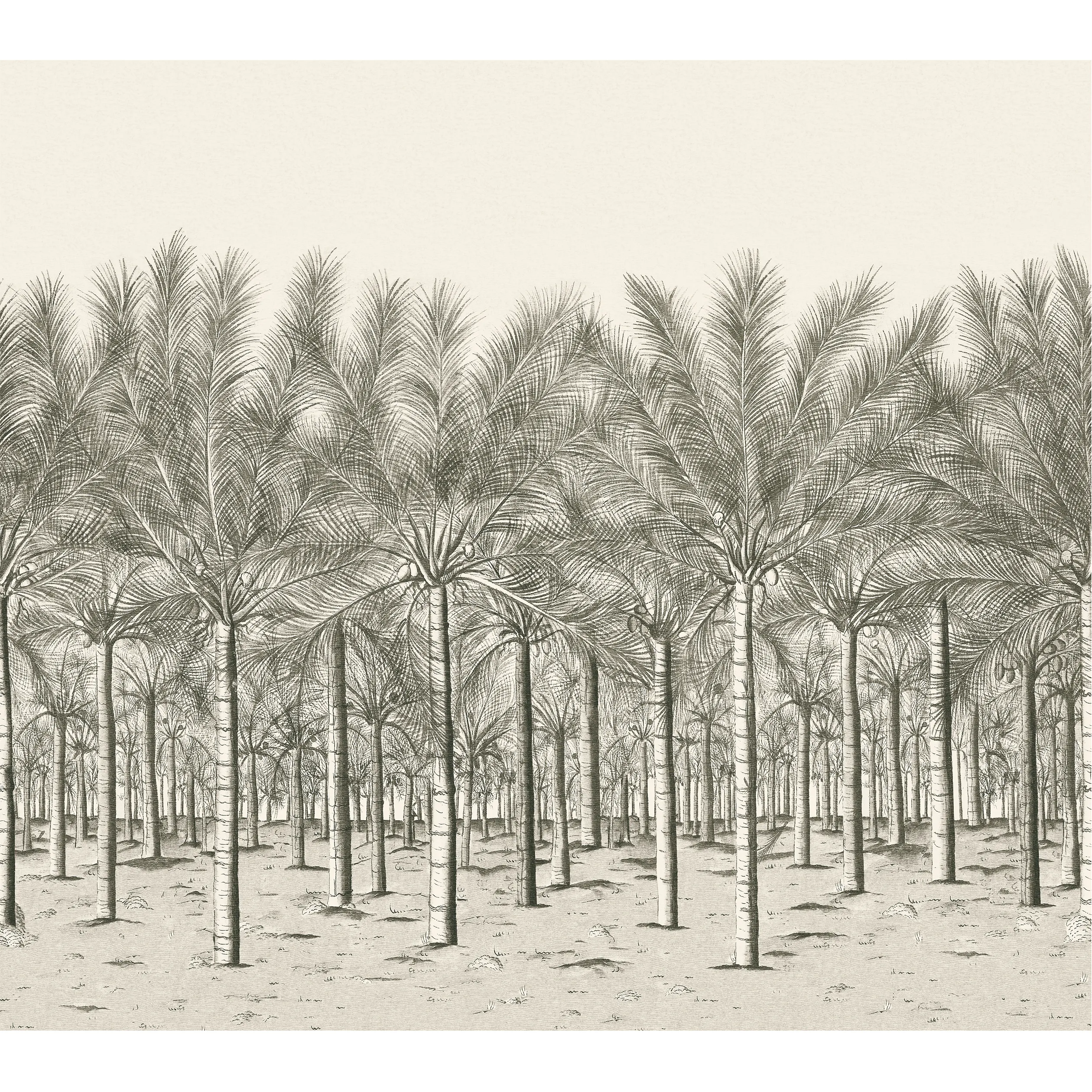 TM13950 | Palm Grove Mural – Black Tea