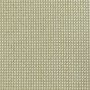 Thibaut Paper Rattan in Olive (T10391)