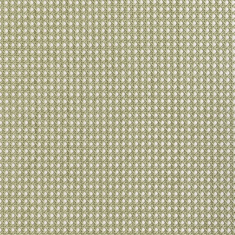 Thibaut Paper Rattan in Olive (T10391)