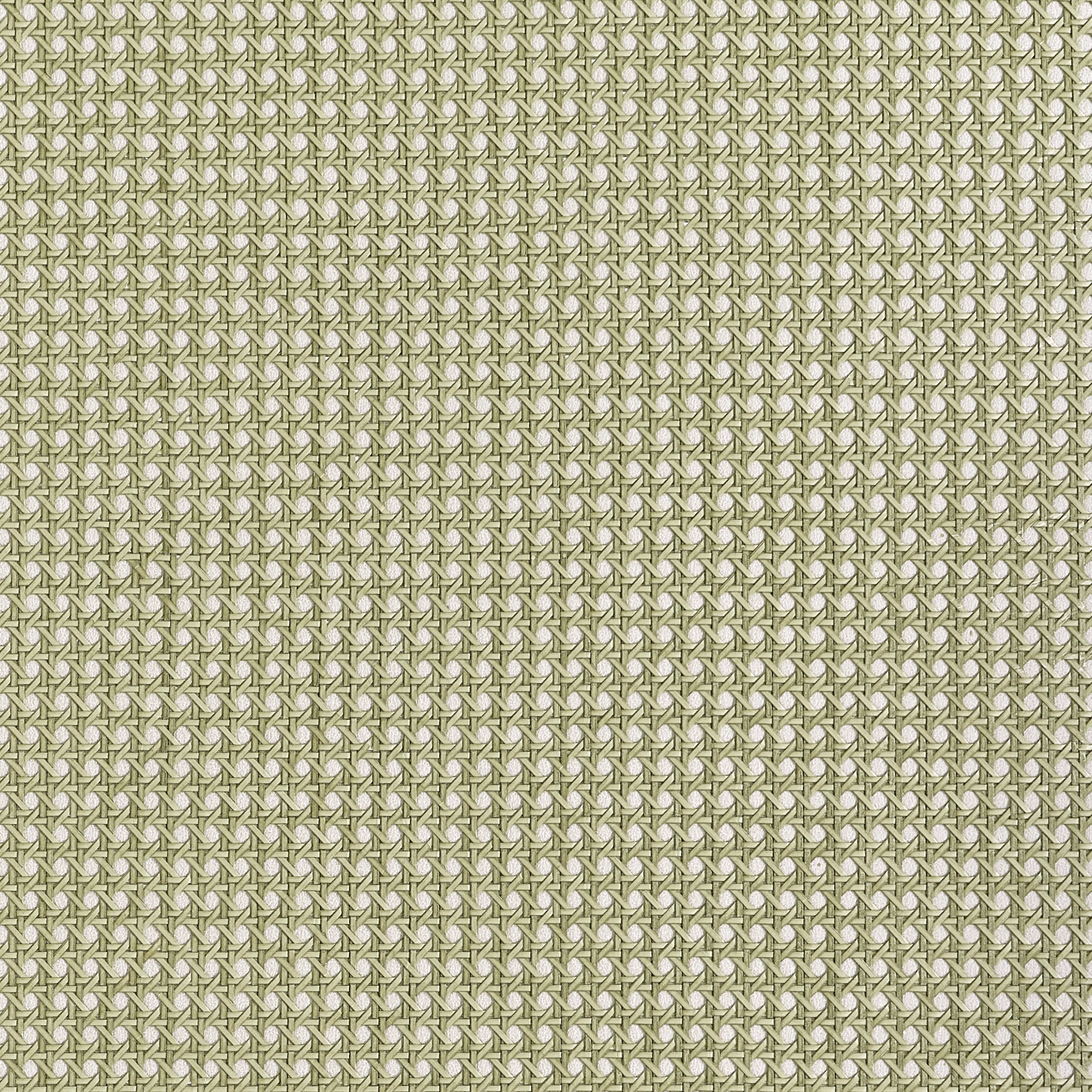 Thibaut Paper Rattan in Olive (T10391)