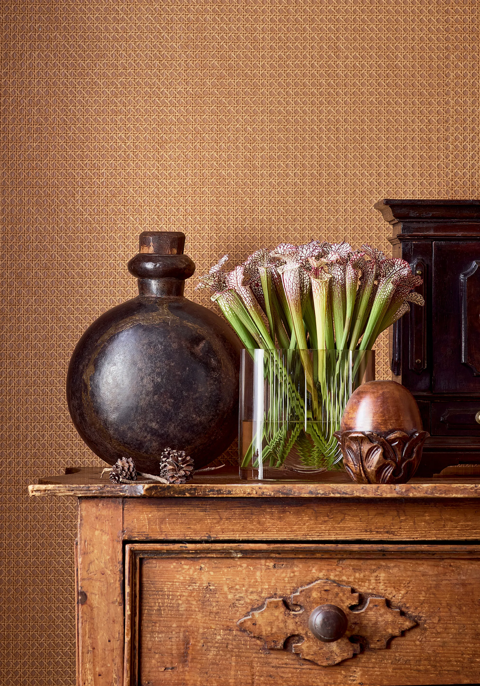 Thibaut Paper Rattan in Saddle (T10387)