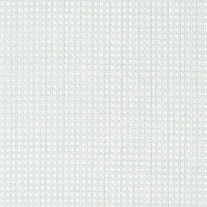 Thibaut Paper Rattan in Seamist (T10393)